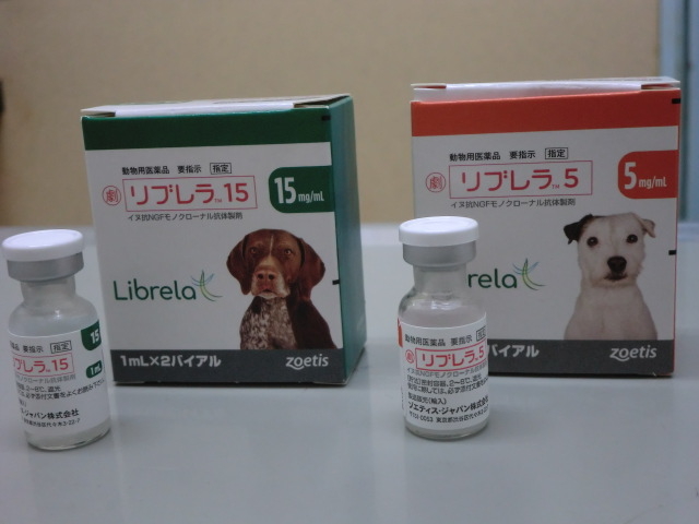 犬の痛み