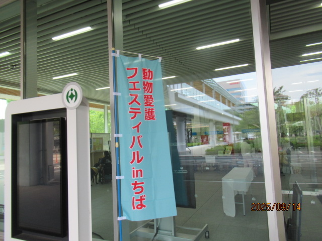 １