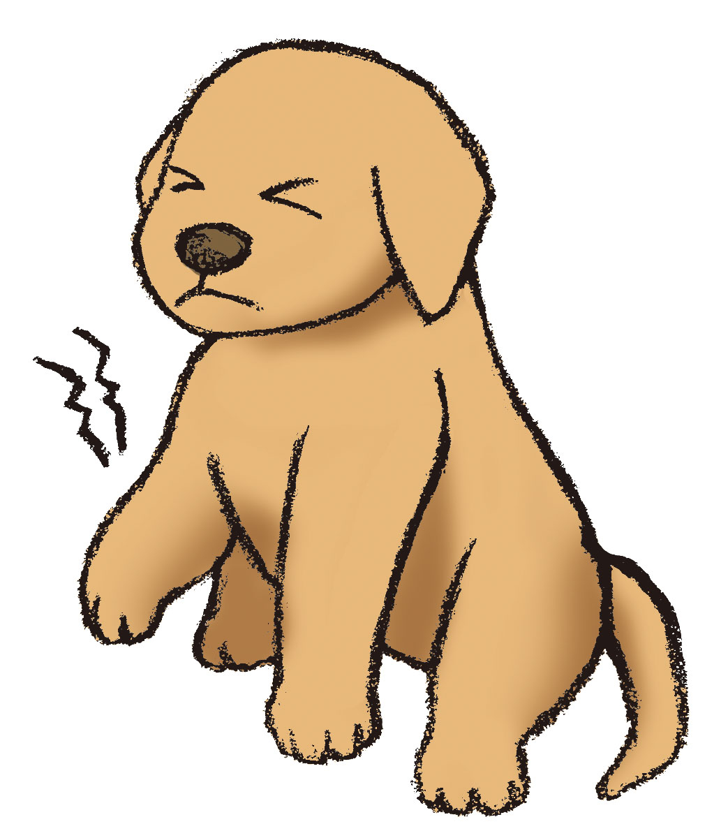 犬の痛み
