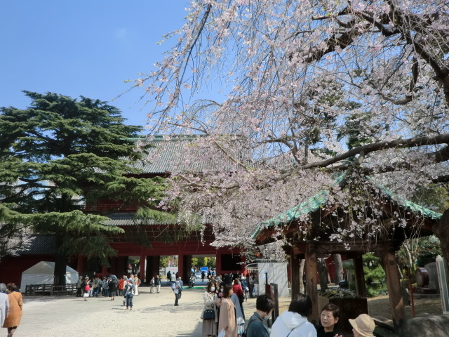 hanami