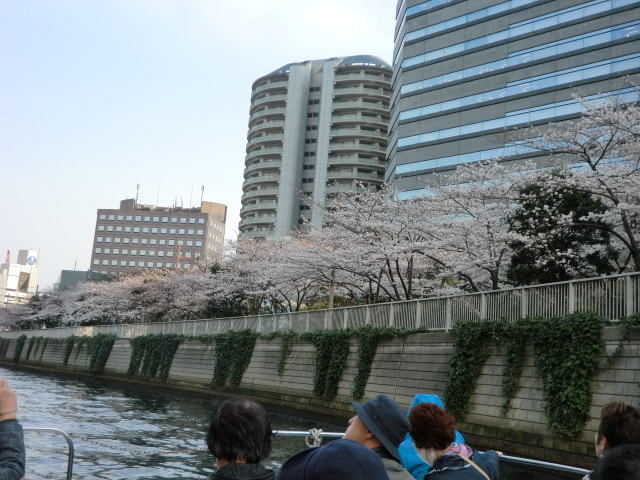 hanami